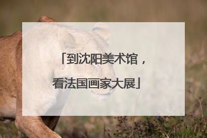 到沈阳美术馆，看法国画家大展