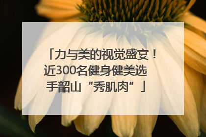 力与美的视觉盛宴！近300名健身健美选手韶山“秀肌肉”