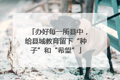办好每一所县中，给县域教育留下“种子”和“希望”