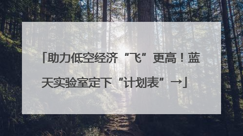助力低空经济“飞”更高！蓝天实验室定下“计划表”→