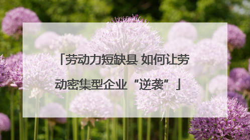 劳动力短缺县 如何让劳动密集型企业“逆袭”