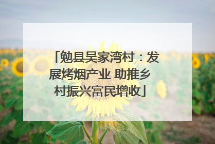 勉县吴家湾村：发展烤烟产业 助推乡村振兴富民增收