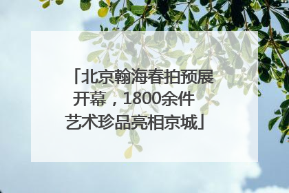 北京翰海春拍预展开幕，1800余件艺术珍品亮相京城