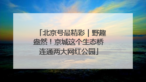 北京号最精彩｜野趣盎然！京城这个生态桥连通两大网红公园