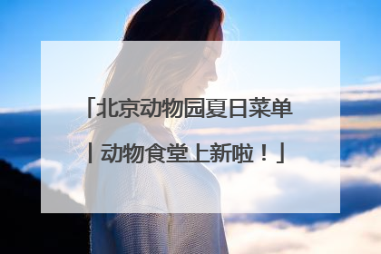 北京动物园夏日菜单丨动物食堂上新啦！