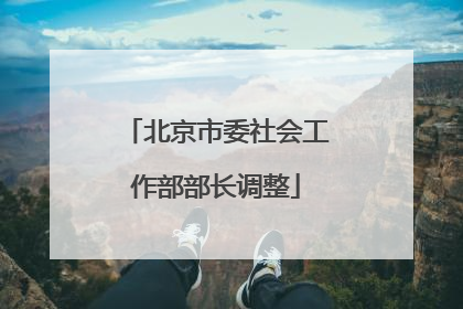 北京市委社会工作部部长调整