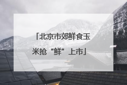 北京市郊鲜食玉米抢“鲜”上市