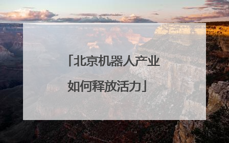 北京机器人产业如何释放活力