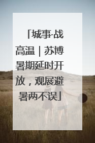 城事·战高温｜苏博暑期延时开放，观展避暑两不误