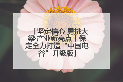 坚定信心 勇挑大梁·产业新亮点丨保定全力打造“中国电谷”升级版