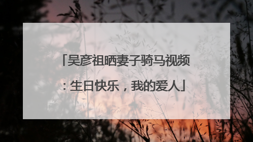 吴彦祖晒妻子骑马视频：生日快乐，我的爱人