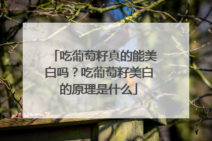 吃葡萄籽真的能美白吗？吃葡萄籽美白的原理是什么