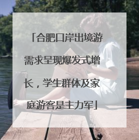 合肥口岸出境游需求呈现爆发式增长，学生群体及家庭游客是主力军