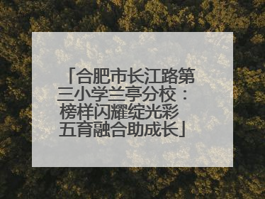 合肥市长江路第三小学兰亭分校：榜样闪耀绽光彩 五育融合助成长