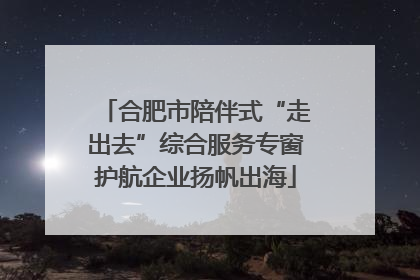 合肥市陪伴式“走出去”综合服务专窗护航企业扬帆出海