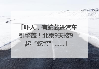 吓人，有蛇藏进汽车引擎盖！北京9天接9起“蛇警”……