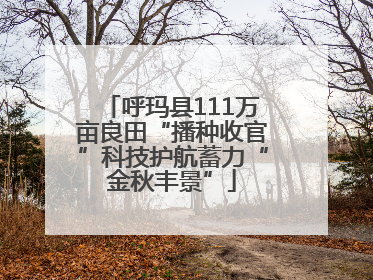 呼玛县111万亩良田“播种收官”科技护航蓄力“金秋丰景”