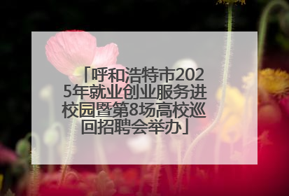 呼和浩特市2025年就业创业服务进校园暨第8场高校巡回招聘会举办