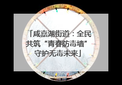 咸嘉湖街道：全民共筑“青春防毒墙” 守护无毒未来