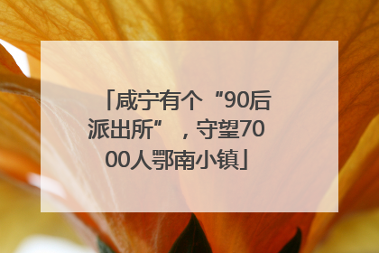 咸宁有个“90后派出所”，守望7000人鄂南小镇