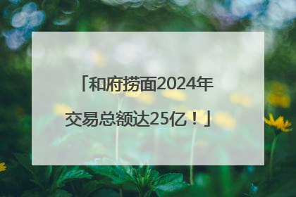 和府捞面2024年交易总额达25亿！