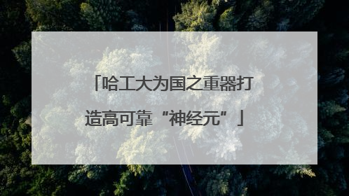 哈工大为国之重器打造高可靠“神经元”