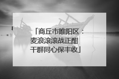 商丘市睢阳区：麦浪滚滚战正酣 干群同心保丰收
