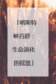 喀斯特峡谷群：生命演化的摇篮