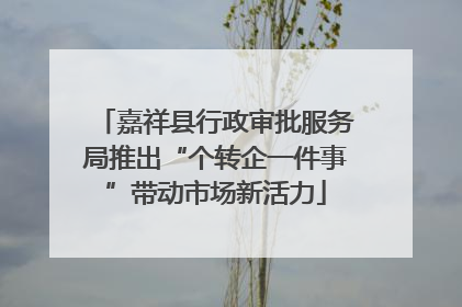 嘉祥县行政审批服务局推出“个转企一件事”带动市场新活力