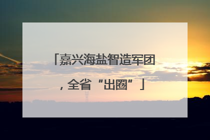 嘉兴海盐智造军团，全省“出圈”