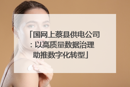 国网上蔡县供电公司：以高质量数据治理 助推数字化转型