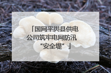 国网平舆县供电公司筑牢电网防汛“安全堤”