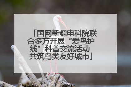 国网新疆电科院联合多方开展“爱鸟护线”科普交流活动 共筑鸟类友好城市