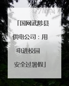 国网武陟县供电公司：用电进校园  安全过暑假