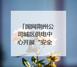 国网荆州公司城区供电中心开展“安全用电进万家”主题宣传活动