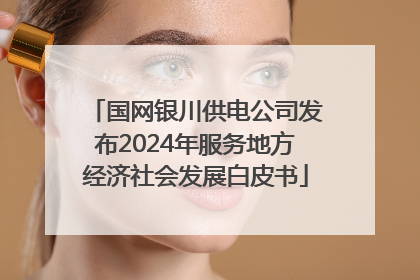 国网银川供电公司发布2024年服务地方经济社会发展白皮书