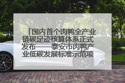 国内首个肉鸭全产业链碳足迹核算体系正式发布——泰安市肉鸭产业低碳发展标准示范项目顺利通过验收