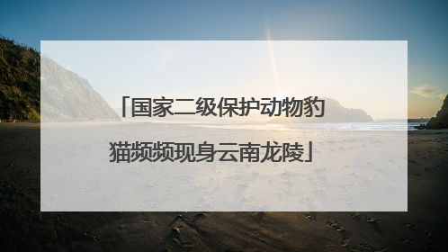 国家二级保护动物豹猫频频现身云南龙陵