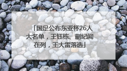 国足公布东亚杯26人大名单，王钰栋、蒯纪闻在列，王大雷落选