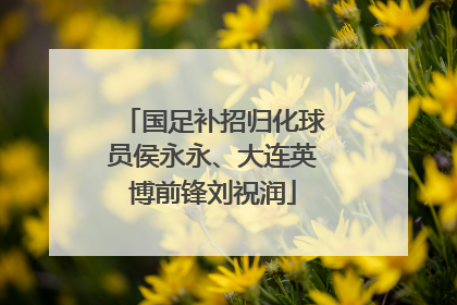 国足补招归化球员侯永永、大连英博前锋刘祝润