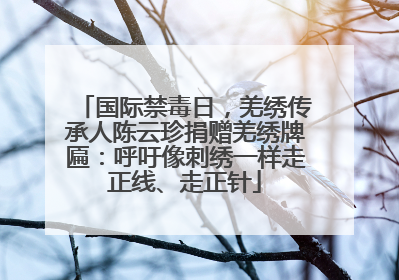 国际禁毒日，羌绣传承人陈云珍捐赠羌绣牌匾：呼吁像刺绣一样走正线、走正针