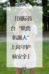 国际首台“壁虎机器人”上岗守护核安全