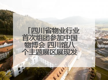 四川省物业行业首次组团参加中国物博会 四川馆八个主题展区展现发展成果