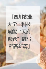 四川农业大学：科技赋能“天府粮仓”谱写稻香新篇