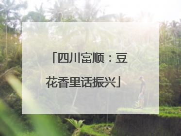 四川富顺：豆花香里话振兴