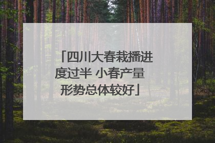 四川大春栽播进度过半 小春产量形势总体较好