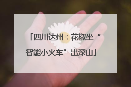 四川达州：花椒坐“智能小火车”出深山