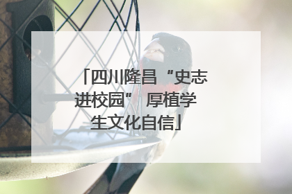 四川隆昌“史志进校园” 厚植学生文化自信