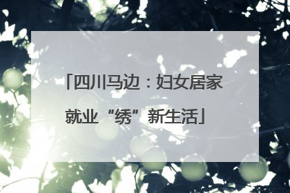 四川马边：妇女居家就业“绣”新生活