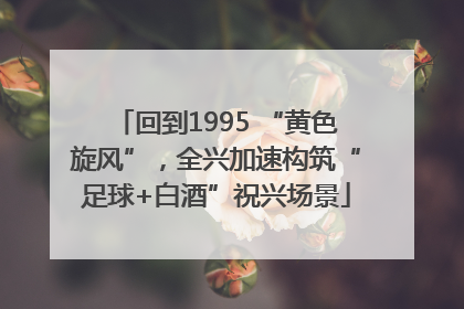 回到1995 “黄色旋风”，全兴加速构筑“足球+白酒”祝兴场景